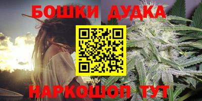 МДПВ Лесосибирск