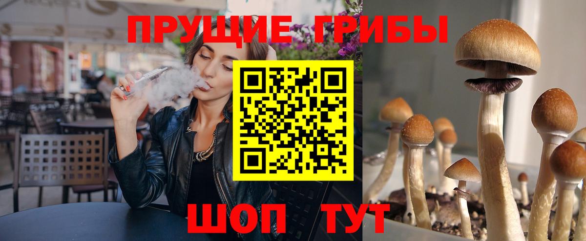Галлюциногенные грибы Magic Shrooms  Вход с VPN  Городец 